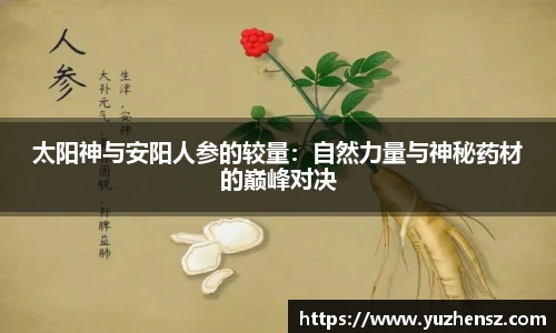 yy易游体育